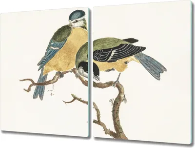 Produktbild von Coloray Hackbrett Kochplattenabdeckung Herdabdeckplatte 2x40x52 cm Schneidebrett Küchenbrett - Tiere Vögel