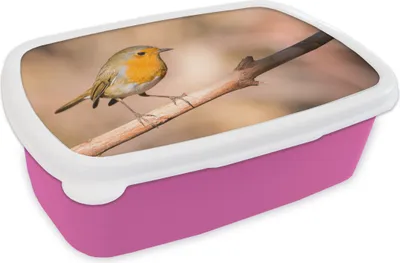 Produktbild von KitchenYeah® Lunchbox Brotzeit Brotdose 17x11 cm Vogel - Zweig - Rotkehlchen Kinder Brotzeitdose - Lunchpaket - Brotkasten  - Sandwich Box