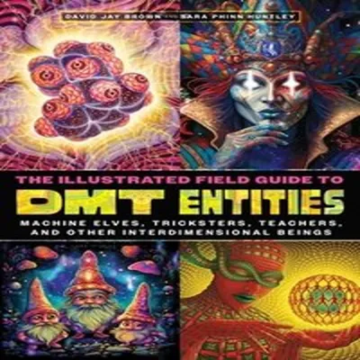 Immagine prodotto di The Illustrated Field Guide to DMT Entities