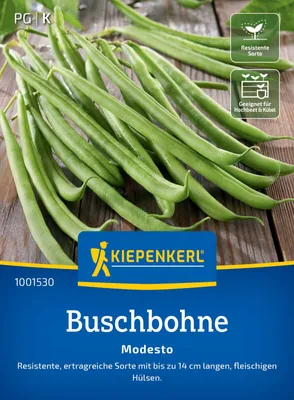 Produktbild von Kiepenkerl Buschbohnensamen Modesto Phaseolus vulgaris nanus 8-10 lfd. Meter