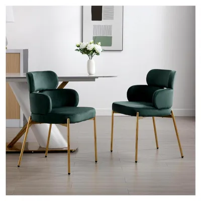 Produktbild von 2er Set gepolsterte Samt-Esszimmerstühle für moderne Küchen und Wohnzimmer (Grün)