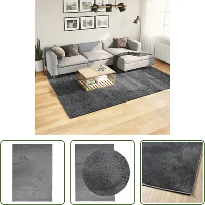 Image de The Living Store tapis OVIEDO velours court anthracite 200x280 cm