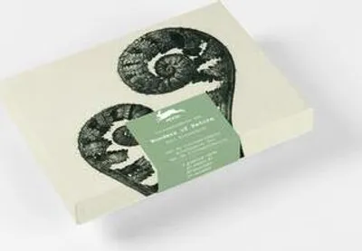 Produktbild von Wonders of Nature (Blossfeldt)