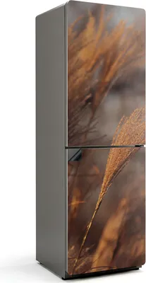 Produktbild von Zarte Grashalme – Magnetische Kühlschrank Abdeckung – Dekorfolie magnetisch Küche – Kühlschrank Magnet Deko – selbstklebende Magnettafel – Magnetfolie für Kühlschranktür – 60x180 cm