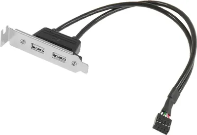 Produktbild von I00 USB-Adapterkabel 9-Pin Buchse auf 2× USB 2.0 Buchse – 30 cm Kabel, Slotblech 8 cm – Mainboard Frontpanel Anschluss