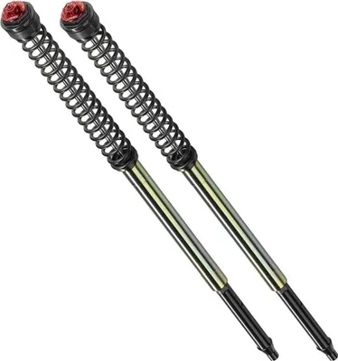Immagine prodotto di Kit forcella regolabile BITUBO Sport - BW037ABB09WO