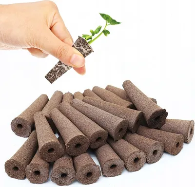 A hand holding a seedling starter plug with roots visible, above a pile of similar starter plugs.