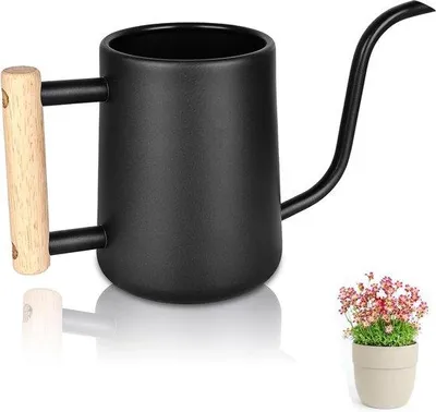 Image de Arrosoir Famanu de 1 litre avec manche en bois - Idéal pour les plantes d'intérieur et les bureaux
