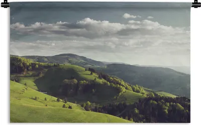 Produktbild von MuchoWow® Wandteppich Wandbehang Der Schwarzwald in Deutschland vor Sonnenuntergang 120x80 cm Tapisserie Dekoration Wandtuch - Wanddekorationen - Wandtücher