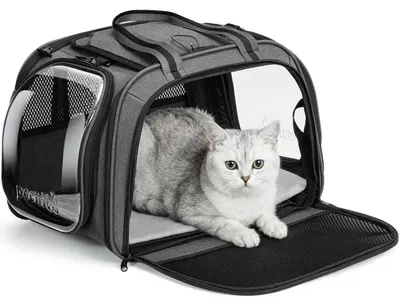 Obrázek produktu pro Transportní box pro kočky se zorným oknem, šedá barva, velikost M, rozměry 43x30x32 cm