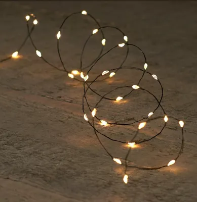 Productafbeelding van Kerstverlichting Batterijverlichting LED wire zwart draad 100 LED / 5 meter warm wit Anna's collection
