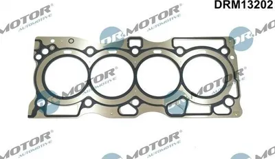 Produktbild von Dr.Motor Automotive DRM13202 Zylinderkopfdichtung x