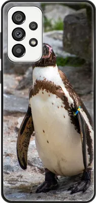 Produktbild von König Design Hülle kompatibel mit Samsung Galaxy A73 5G Kunststoff Soft Handyhülle - Handy Case Pinguin