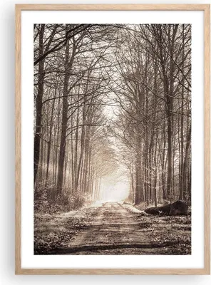 Produktbild von Gerahmtes Poster - Rahmen in heller Eiche - Wald Straße Baum - 50x70 cm - Wand Bild - Wanddeko - Wandbilder - Kunstposter - Wandposter - Bilderrahmen - Bilder - Kunstdruck - Wandbild - P2NPA50x70-3620
