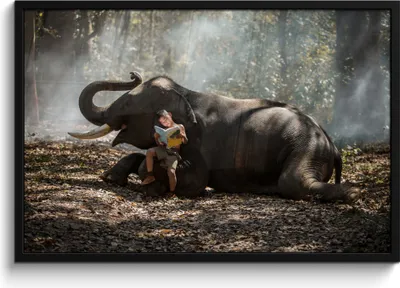 Produktbild von MuchoWow® MuchoWow® Gerahmtes Poster Elefant - Junge - Buch - Wald - Tiere - Natur 90x60 cm - Poster mit zchwarzem Bilderrahmen - Fotorahmen - Foto-Plakat