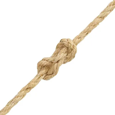 Obrázok produktu pre vidaXL Lano 100% sisal 10 mm 100 m