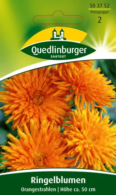 Produktbild von Quedlinburger Saatgut - Ringelblumen Orangestrahlen - Samen - 503752