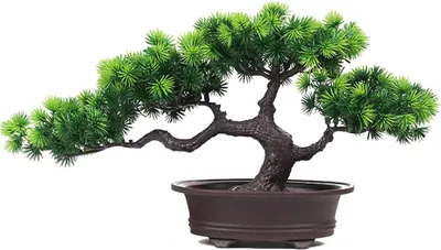 Produktbild von Kunstpflanze Bonsai – Japanische Kiefer – Topfpflanze – Wartungsfrei – Für den Innenbereich