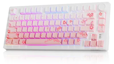Productafbeelding van Draadloos Mechanisch Toetsenbord, 75% RGB Hot Swap, Gasket Mount, PBT Keycaps