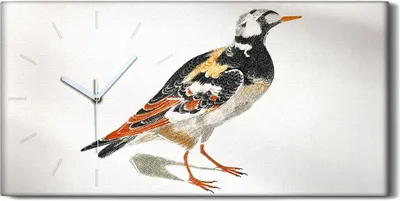 Produktbild von Wandbild Leinwand Bilder Wanduhr Geräuschlos 60x30 Zeichnung Tier Vogel Kunst - weiße Hände