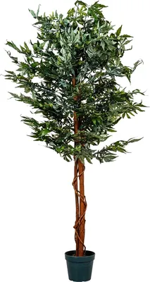 Produktbild von PLANTASIA Kunstpflanze Zimmerpflanze 150 cm