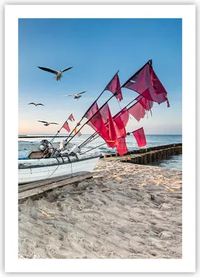 Produktbild von Poster - Poster ohne Rahmen - £ódŸ Küste Möwen - 50x70 cm - Wand Bild - Wanddeko - Wandbilder - Kunstposter - Wandposter - Bilder - Kunstdruck - Wanddekoration - Wandbild - P2XPA50x70-4779