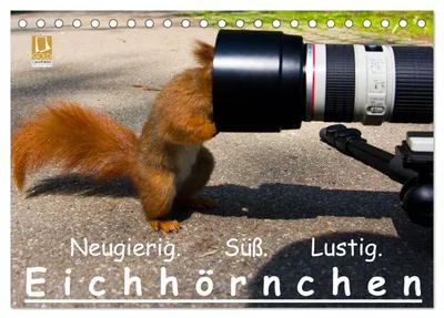 Produktbild von Eichhörnchen (Tischkalender 2027 DIN A5 quer), CALVENDO Monatskalender