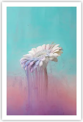 Produktbild von Poster - Poster ohne Rahmen - Modern Grafik Blume - 61x91,5 cm - Wand Bild - Wanddeko - Wandbilder - Kunstposter - Wandposter - Bilder - Kunstdruck - Wanddekoration - Wandbild - P2XPA61x91-4534