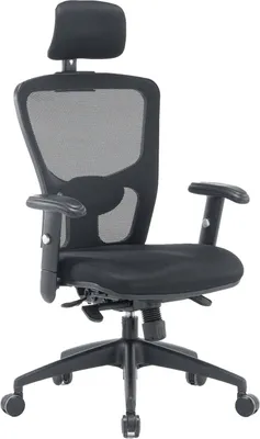 Produktbild von Bürostuhl Dhenr, Chefsessel aus Mesh mit Armlehnen, ergonomischer Bürositz, 68x66h120/130 cm, schwarz