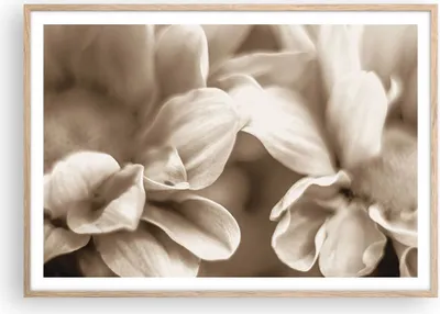Produktbild von Gerahmtes Poster - Rahmen in heller Eiche - Blumen Boho ohne - 100x70 cm - Wand Bild - Wanddeko - Wandbilder - Kunstposter - Wandposter - Bilderrahmen - Bilder - Kunstdruck - P2NAA100x70-4767