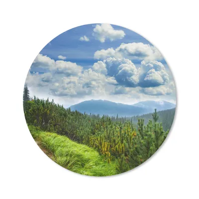 Produktbild von MuchoWow® Mauspad Mousepad Wald - Pfad - Berg 20x20 cm - Mousepads - Maus Mat - Pad - Mausunterlage - Schreibtischmatte
