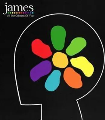 Produktbild von All The Colours Of You