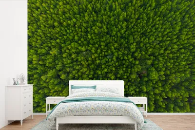 Produktbild von MuchoWow® Fototapete für Wohnzimmer oder Schlafzimmer Wandtapete Vinyl Motivtapete Wald - Baum - Grün - 390x260 cm - Papiertapete