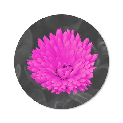Produktbild von MuchoWow® Mauspad Mousepad Blumen - Aquarell - Rosa 20x20 cm - Mousepads - Maus Mat - Pad - Mausunterlage - Schreibtischmatte