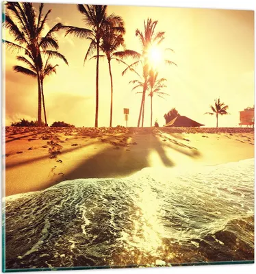 Produktbild von Bilder auf glas - Strand Meer Palme - 70x70cm - Glasbilder - Wandbilder - Kunstdruck - zum Aufhängen bereit - Wanddekoration aus Glas - Glas Bilder - Wandbild auf Glas - Einteilig - GAC70x70-3609