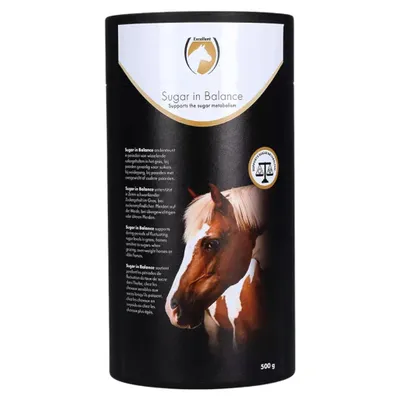 Image de Excellent Horse : un équilibre parfait