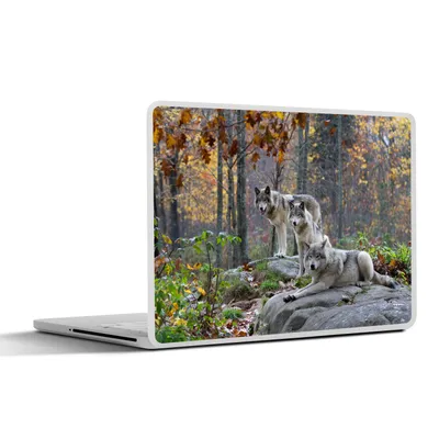 Produktbild von MuchoWow® Laptop Aufkleber Sticker Cover Wolf - Herbst - Wald 36.5x27.5 cm - Laptop-Sticker