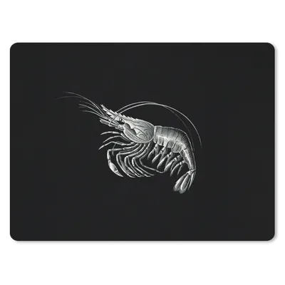 Produktbild von MuchoWow® Mauspad Mousepad Shrimps - Vintage - Ernst Haeckel - Tiere - Kunst 23x19 cm - Mousepads - Maus Mat - Pad - Mausunterlage - Schreibtischunterlage - Mauspad