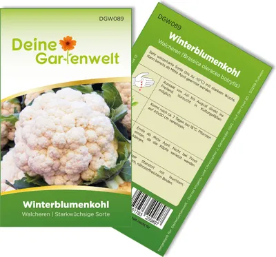 Produktbild von Winterblumenkohl Walcheren Samen - Brassica oleracea botrytis - Winterblumenkohlsamen - Gemüsesamen - Saatgut für 80 Pflanzen