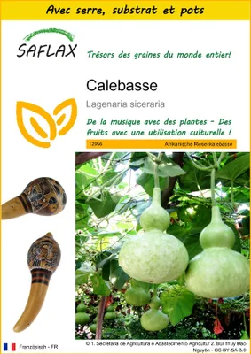 Image de SAFLAX Ensemble de culture - Calebasse - 15 graines - Lagenaria