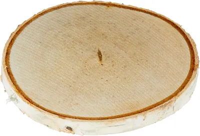 Produktbild von Holzscheibe aus Birkenholz, rund, mit ca. 12 cm Durchmesser und 1 cm Stärke