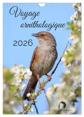 Produktbild von Ornithologische Reise (Wandkalender 2027, DIN A4, horizontal), CALVENDO Monatskalender