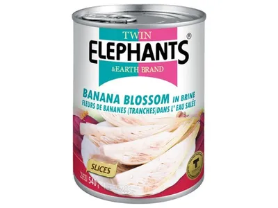 Produktbild von TWIN ELEPHANTS Bananenblüte (Scheiben) in Salzwasser 540g/ATG 283g | veganer Fleischersatz | Banana Blossom