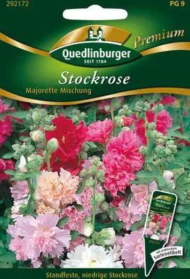 Artikelbild 1 von 'Stockrosen Majorette Mischung' aus der Kategorie Stockrosensamen