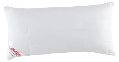 Image de Frankenstolz Schlaf-Gut Utah 40 x 80 cm Oreiller, piqué