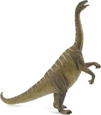 Image de COLLECTA Plateosaurus - (L)