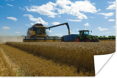 Produktbild von MuchoWow® Poster Traktor - Bauernhof - Landleben - Ernte - Getreide 120x80 cm - Bilder
