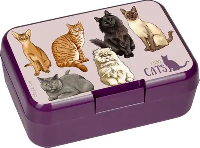Produktbild von Mini-Snackbox Katzen - I love cats