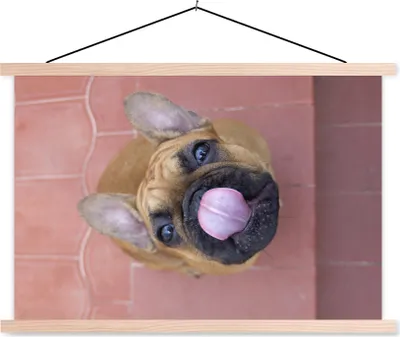 Produktbild von MuchoWow® Textilposter Ein Welpe einer Französischen Bulldogge 60x40 cm mit holzfarbenen Rahmen - Bilder