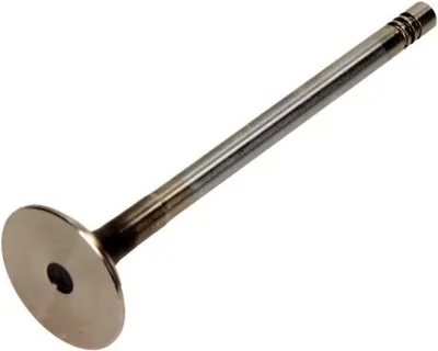 Obrázok produktu pre Auslassventil FRECCIA R6207/BMCR